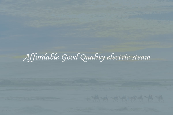 Affordable Good Quality electric steam
