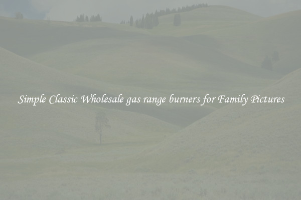 Simple Classic Wholesale gas range burners for Family Pictures