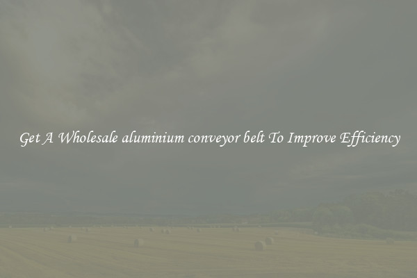 Get A Wholesale aluminium conveyor belt To Improve Efficiency