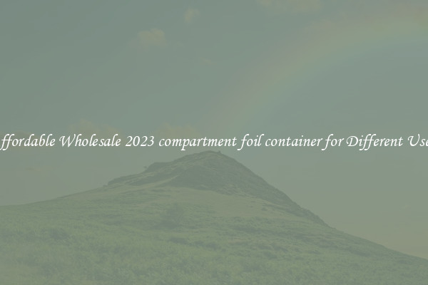 Affordable Wholesale 2023 compartment foil container for Different Uses 