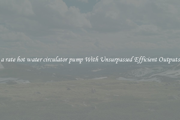 a rate hot water circulator pump With Unsurpassed Efficient Outputs