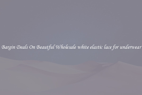 Bargin Deals On Beautful Wholesale white elastic lace for underwear