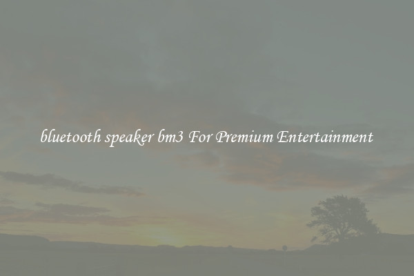 bluetooth speaker bm3 For Premium Entertainment 