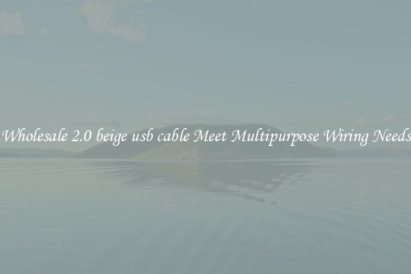 Wholesale 2.0 beige usb cable Meet Multipurpose Wiring Needs