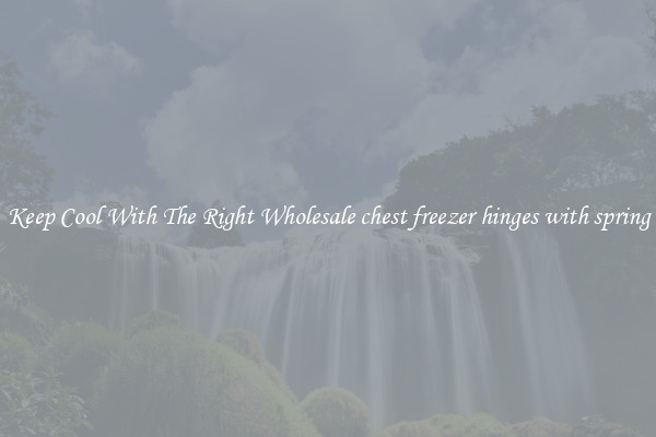 Keep Cool With The Right Wholesale chest freezer hinges with spring