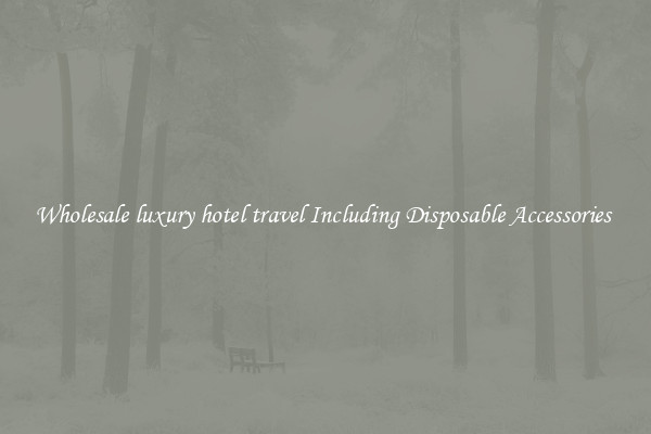 Wholesale luxury hotel travel Including Disposable Accessories 