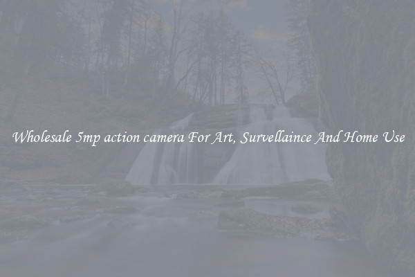 Wholesale 5mp action camera For Art, Survellaince And Home Use