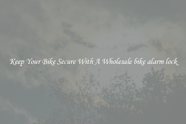 Keep Your Bike Secure With A Wholesale bike alarm lock
