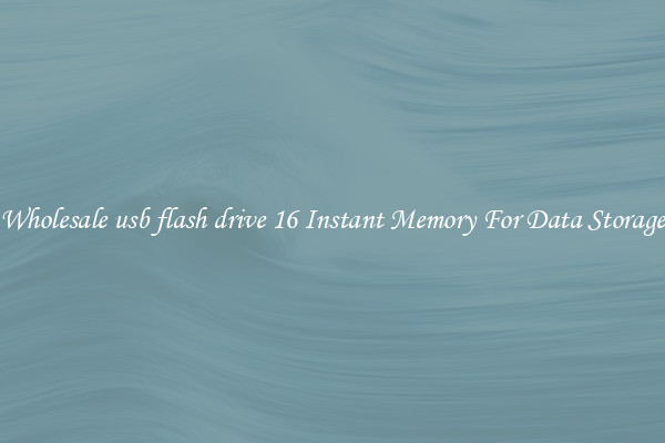 Wholesale usb flash drive 16 Instant Memory For Data Storage