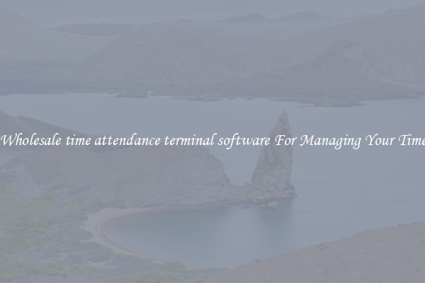 Wholesale time attendance terminal software For Managing Your Time