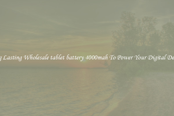 Long Lasting Wholesale tablet battery 4000mah To Power Your Digital Devices
