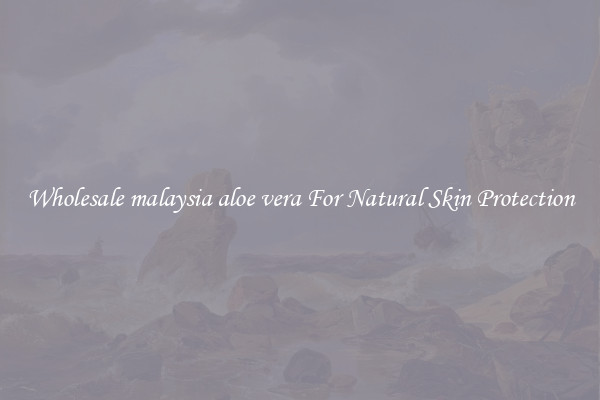 Wholesale malaysia aloe vera For Natural Skin Protection