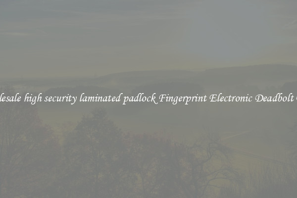 Wholesale high security laminated padlock Fingerprint Electronic Deadbolt Door 