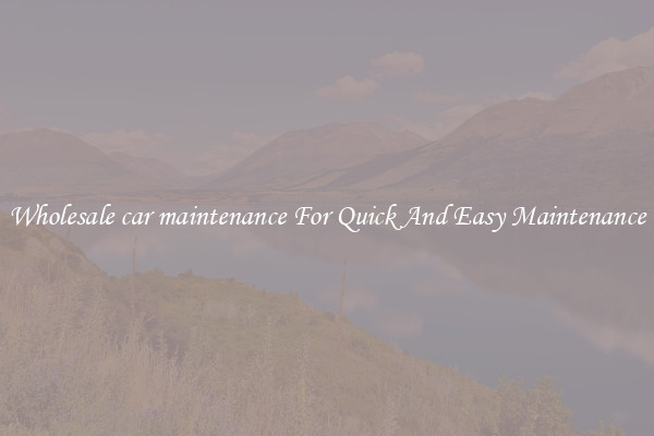 Wholesale car maintenance For Quick And Easy Maintenance