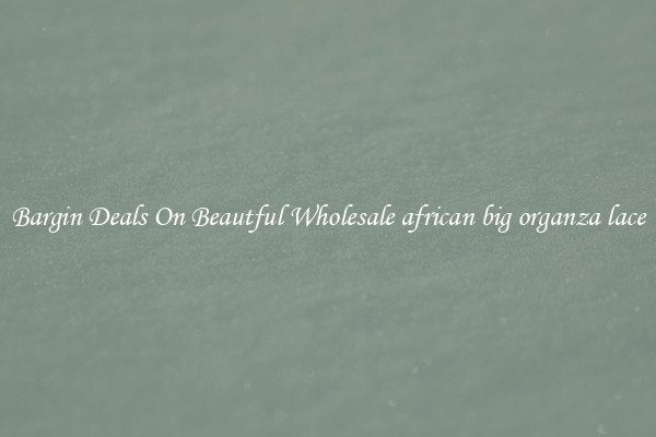 Bargin Deals On Beautful Wholesale african big organza lace