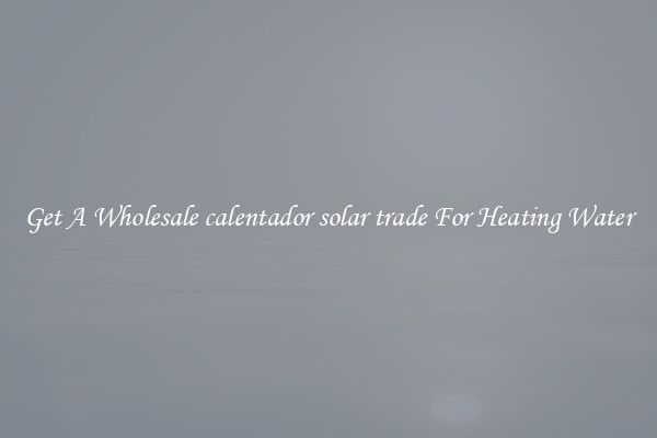 Get A Wholesale calentador solar trade For Heating Water
