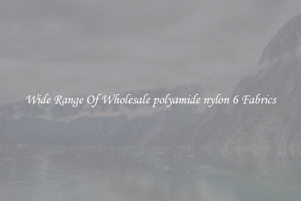 Wide Range Of Wholesale polyamide nylon 6 Fabrics