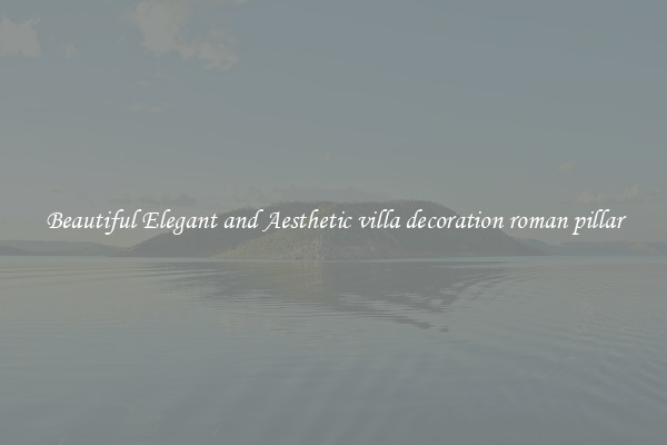 Beautiful Elegant and Aesthetic villa decoration roman pillar