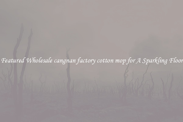 Featured Wholesale cangnan factory cotton mop for A Sparkling Floor