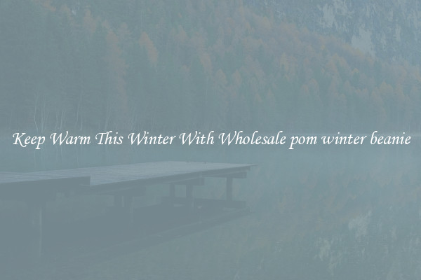 Keep Warm This Winter With Wholesale pom winter beanie