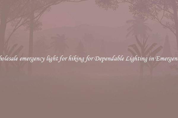 Wholesale emergency light for hiking for Dependable Lighting in Emergencies