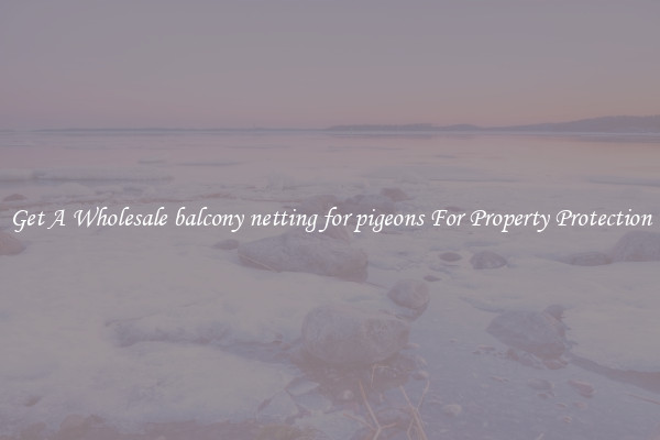 Get A Wholesale balcony netting for pigeons For Property Protection