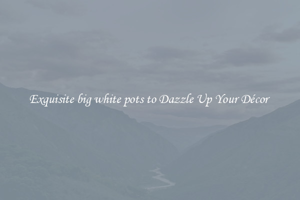 Exquisite big white pots to Dazzle Up Your Décor 