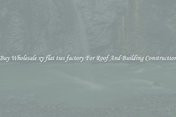 Buy Wholesale xy flat ties factory For Roof And Building Construction