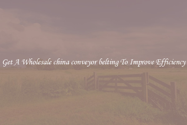 Get A Wholesale china conveyor belting To Improve Efficiency