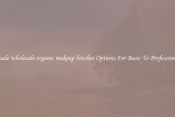 Wholesale wholesale organic makeup brushes Options For Basic To Professional Use