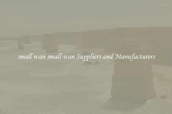 small wan small wan Suppliers and Manufacturers