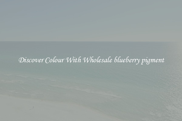 Discover Colour With Wholesale blueberry pigment